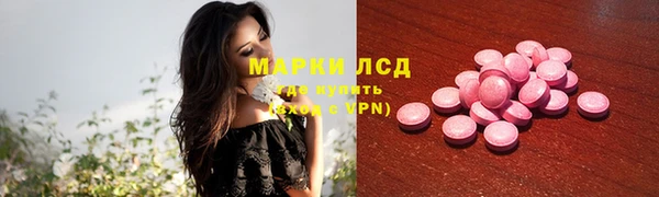 прущие грибы Баксан