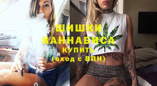прущие грибы Баксан