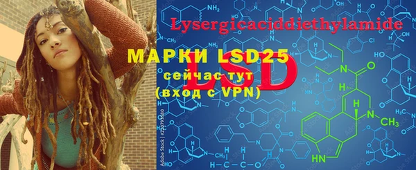 прущие грибы Баксан
