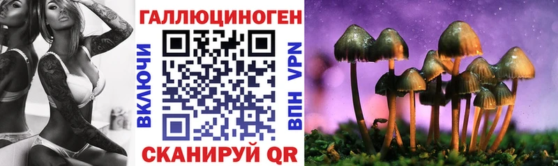 гидра как войти  нарко площадка Telegram  Псилоцибиновые грибы Psilocybine cubensis  Нестеровская 